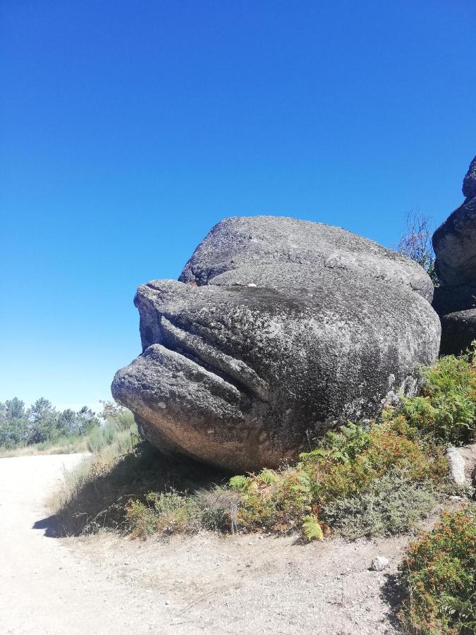 Sambuc'Asa - Serra Da Estrela Sabugueiro  Ngoại thất bức ảnh