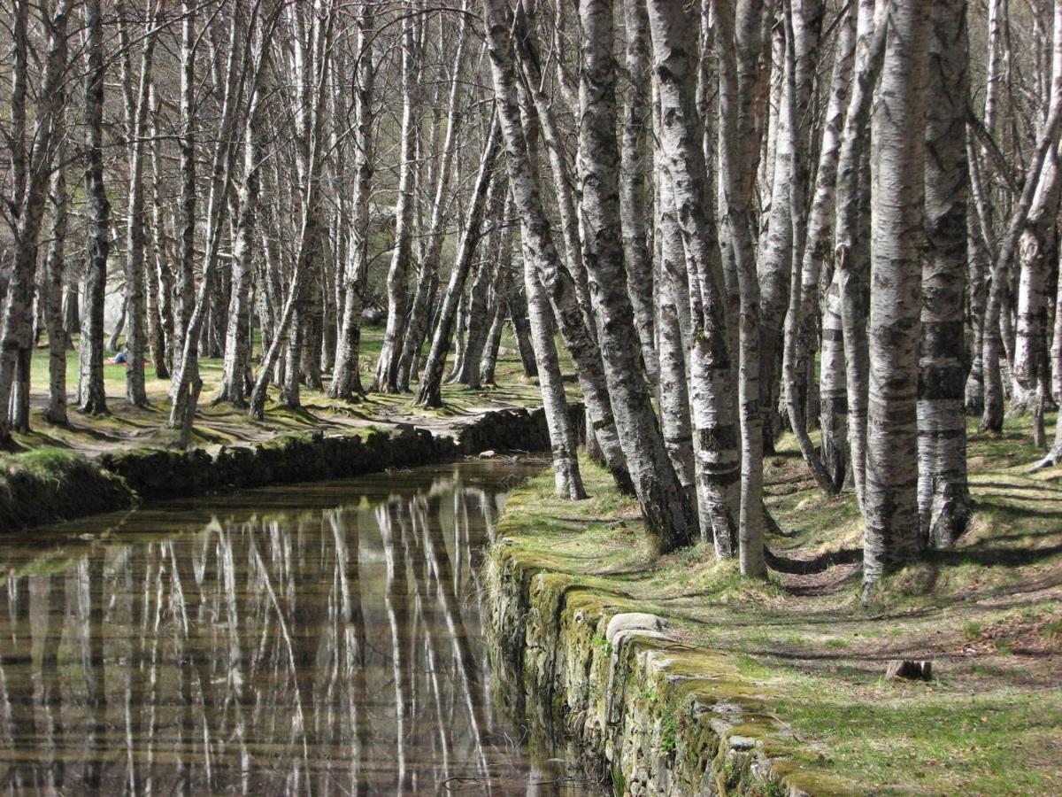 Sambuc'Asa - Serra Da Estrela Sabugueiro  Ngoại thất bức ảnh