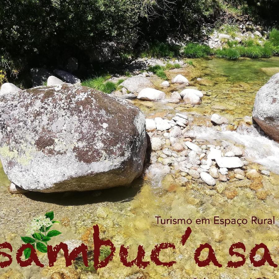 Sambuc'Asa - Serra Da Estrela Sabugueiro  Ngoại thất bức ảnh